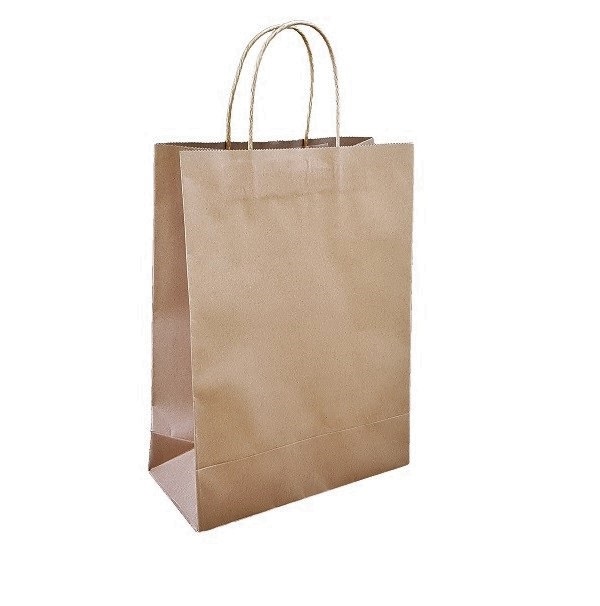 Brown Paper Bag Twist Handle image