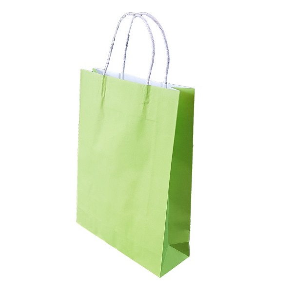 Lime Green Paper Bag Twist Handle image