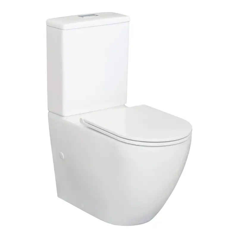 Fienza Alix Back to Wall Extra Height Rimless Toilet Suite image
