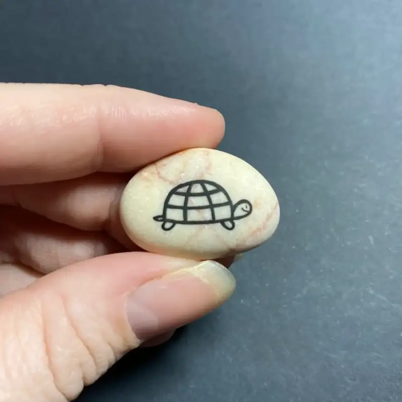 Painted turtle on a rock image