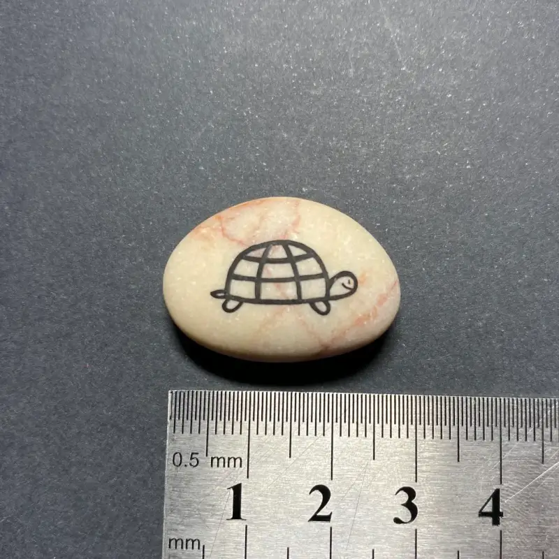 Painted turtle on a rock image