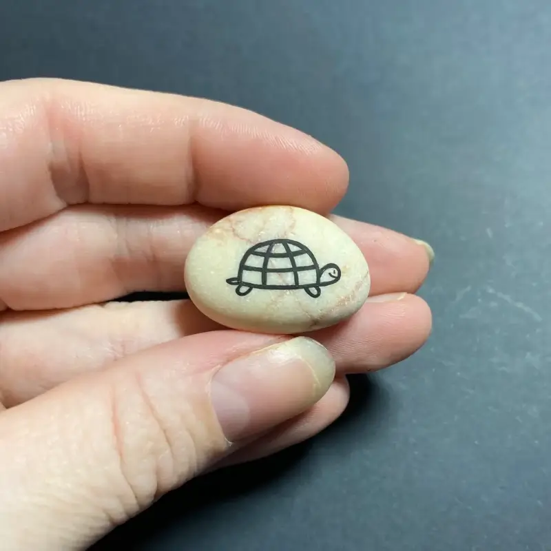 Painted turtle on a rock image