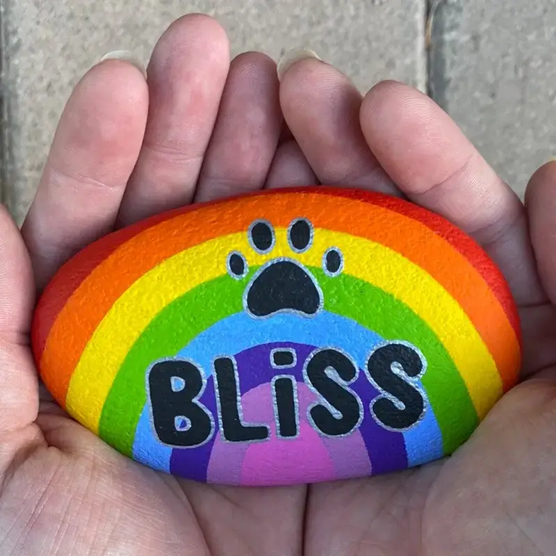 Hand painted rock with pets name and paw print image