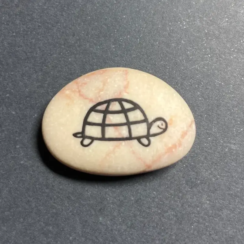 Painted turtle on a rock image