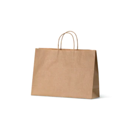 Sml Btq Brown Paper Carry Bag image